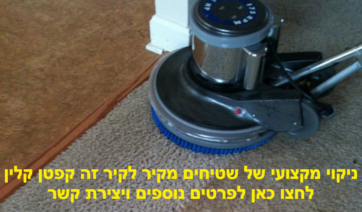 ניקוי שטיחים מקיר לקיר