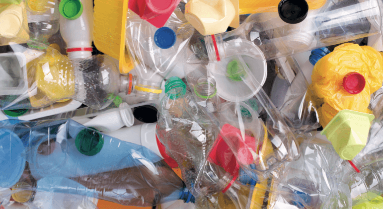 חיידק אוכל פלסטיק - מדע - מדע פלוס