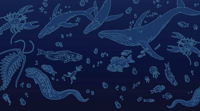 האם החיים באוקיינוס רועשים? - טבע - מדע פלוס