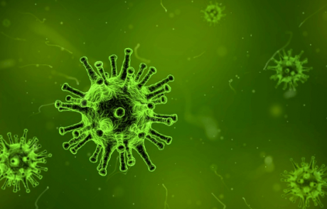 האם אנחנו יכולים לחזות התפרצויות שפעת?