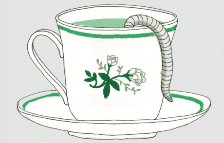 כיצד מכינים תה תולעים?